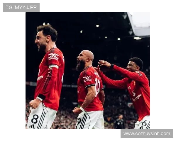 B费：从数据王到球队核心的荣誉与成长解析