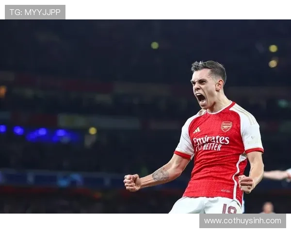 从边锋到中锋:特罗萨德的角色转型逻辑 从边锋到中锋:特罗萨德的角色转型逻辑