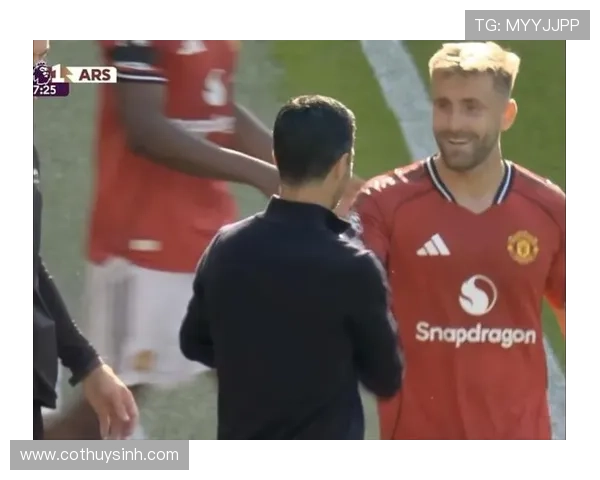 曼联近期表现回暖,实为波动中的阶段性回调 曼联近期表现回暖,实为波动中的阶段性回调